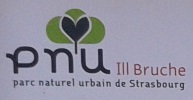 PNU logo